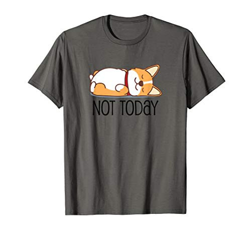 Cute Corgi Gift Funny Dog Lover Not Today Lazy Animal T-Shirt