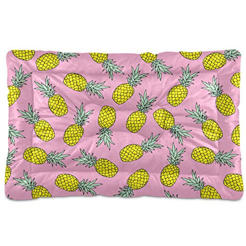 N-A Dog Beds Pineapple Design for Small Dogs Cats Pet Bed Pad for Crates 18 x 24 Machine Wash Pink
