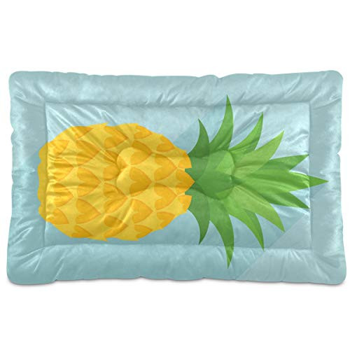N-A Dog Beds Pineapple Design for Small Dogs Cats Pet Bed Pad for Crates 18 x 24 Machine Wash Grey