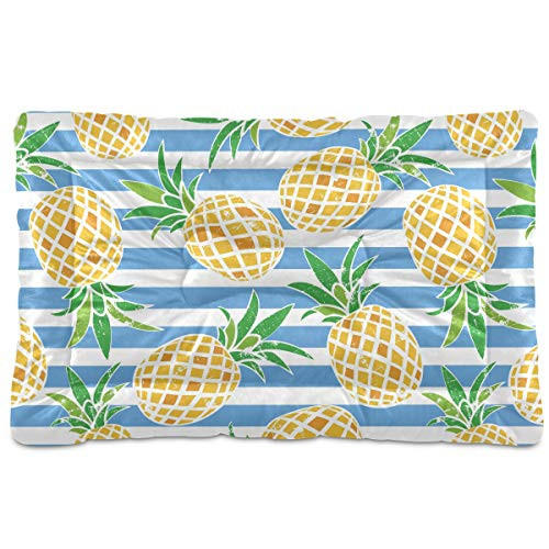 N-A Dog Beds Pineapple Stripe Design for Small Dogs Cats Pet Bed Pad for Crates 18 x 24 Machine Wash Blue White