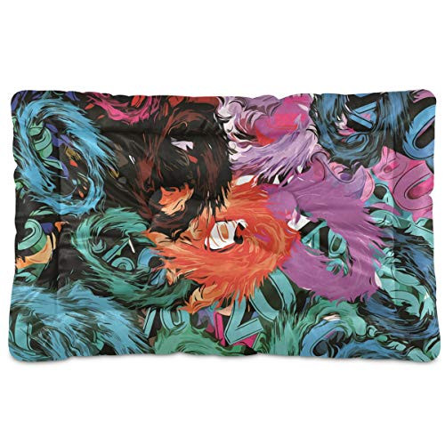 N-A Dog Beds Abstract Colored Design for Small Dogs Cats Pet Bed Pad for Crates 18 x 24 Machine Wash