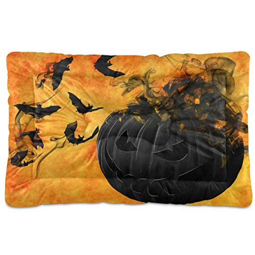 N-A Dog Beds Pumpkin Swallowed by Bats Design for Small Dogs Cats Pet Bed Pad for Crates 18 x 24 Machine Wash
