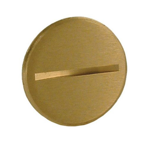 Hubbell-Raco 6225 Abandon Plug