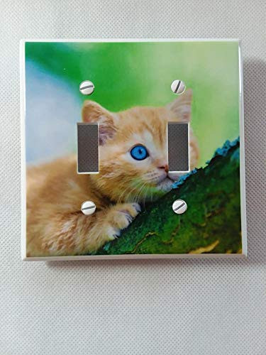 Double Toggle -2-toggle- Light Switch Plate Cover - Trees - Blue-eyed Yellow Kitty Cat in Tree