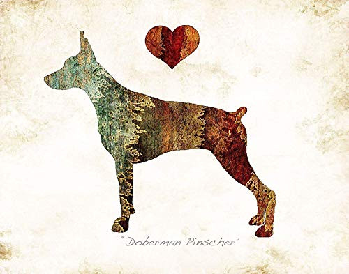 Doberman Pinscher Dog Breed Art Print by Dan Morris Doberman Pinscher Dog Breed Art Print by Dan Morris