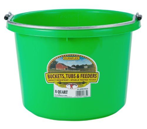 Miller Manufacturing P8LIMEGREEN Plastic Round Back Bucket for Horses  8-Quart  Lime Green