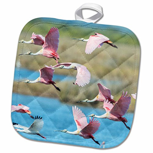 3dRose 3D Rose USA-Florida-Merritt Island-Nwr-Roseate Spoonbills Pot Holder, 8 x 8