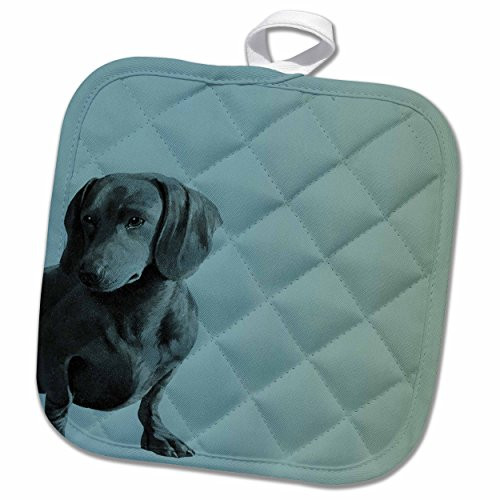 3D Rose Adorable Daschund Dog Pets Animals Pot Holder, 8 x 8" 3D Rose Adorable Daschund Dog Pets Animals Pot Holder, 8 x 8"