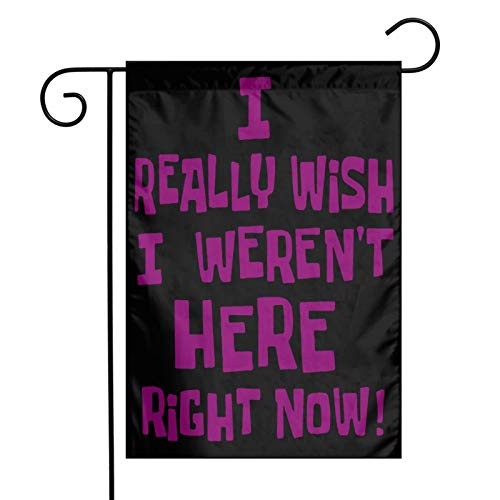 Cbxzyzzc I Really Wish I Weren_t Here Right Now American Outdoor Decoration Banner for Yard Lawn 12 X 18 Inch USA Garden Flag