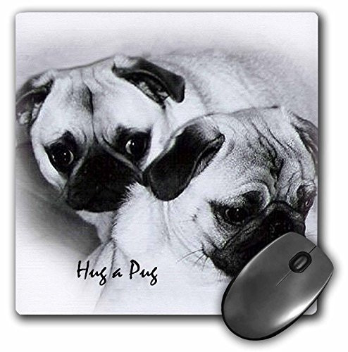3dRose LLC 8 x 8 x 0.25 Inches Mouse Pad, Hug A Pug Puppies (mp_1232_1)