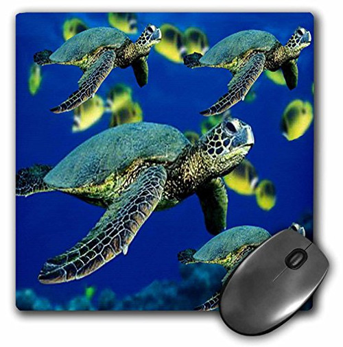 3dRose LLC 8 x 8 x 0.25 Inches Mouse Pad, Sea Turtles (mp_26849_1) 3dRose LLC 8 x 8 x 0.25 Inches Mouse Pad, Sea Turtles (mp_26849_1)