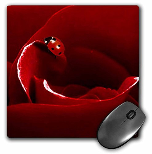 3dRose LLC 8 x 8 x 0.25 Inches Ladybug Love Pattern Mouse Pad (mp_50280_1)