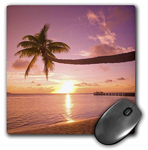 3dRose LLC 8 x 8 x 0.25 Inches Mouse Pad, Wakatobi Resort, Tukang Besi, Sulawesi, indonesia-As11 Sws0028 - Stuart Westmorl and (mp_74572_1)