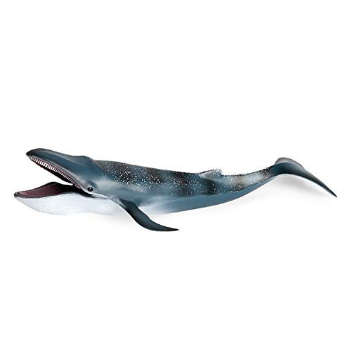 M B Whale Shark Marine Life Model Toys Soft Rubber Realistic Blue Whale Shark Hand-Painted Animals Model Toy Educational and Role Play Toys for Kids