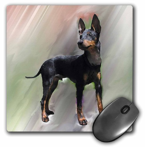 3dRose LLC 8 x 8 x 0.25 Inches Mouse Pad, Manchester Terrier (mp_4505_1) 3dRose LLC 8 x 8 x 0.25 Inches Mouse Pad, Manchester Terrier (mp_4505_1)