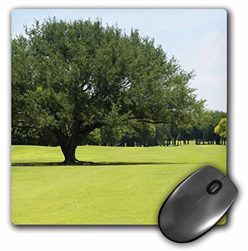 3dRose LLC 8 x 8 x 0.25 Inches Peaceful Course Mouse Pad (mp_7969_1)