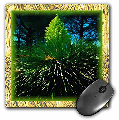 3dRose LLC 8 X 8 X 0.25 Inches Yellow Yucca Flower Mouse Pad (mp_24222_1)