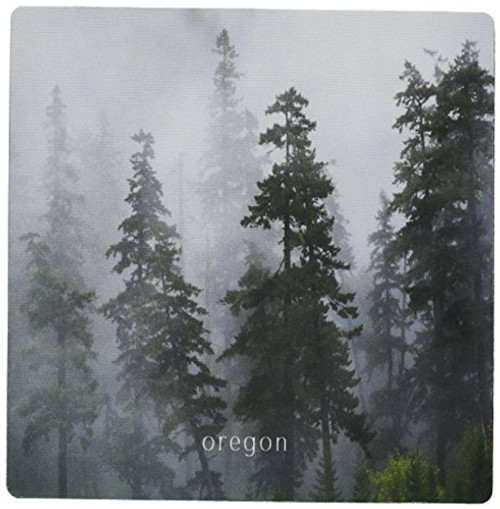 3dRose LLC 8 x 8 x 0.25 Inches Mouse Pad, Fog in Forest, Oregon (mp_100859_1)