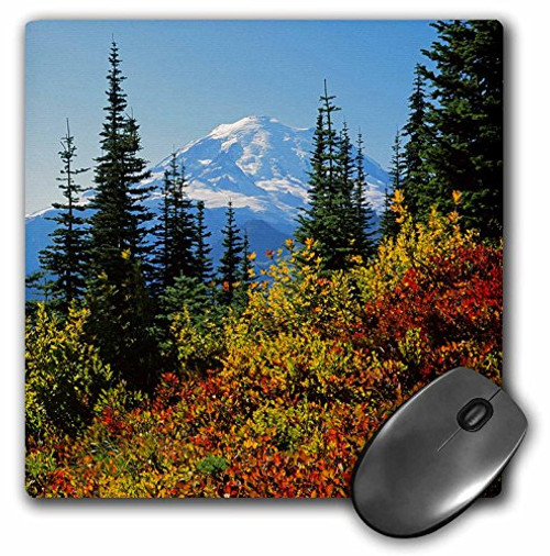 3drose USA, Washington, Mt Rainier NP, Mt Rainier Above Huckleberries - Mouse Pad