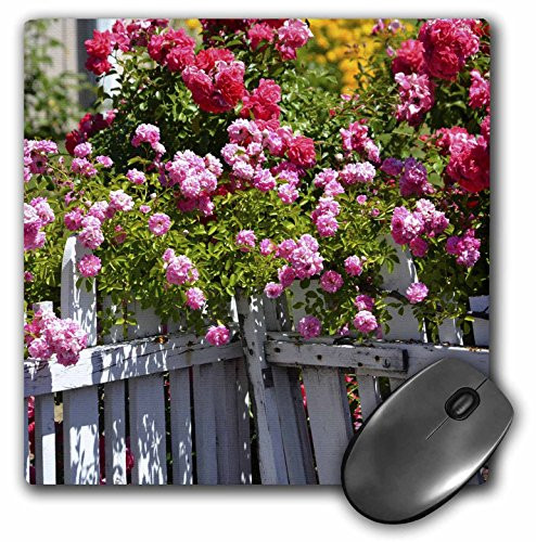 3dRose LLC 8 x 8 x 0.25 Inches Beautiful Garden of Roses with a White Picket Fence, Flowers Mouse Pad (mp_59132_1)