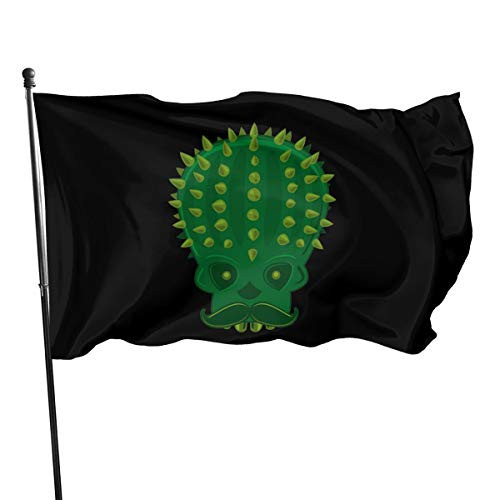 HBWUYZU-T 3x5 Ft Polyester Flag Cinco De Mayo with Skull - Vivid Color and UV Fade Resistant