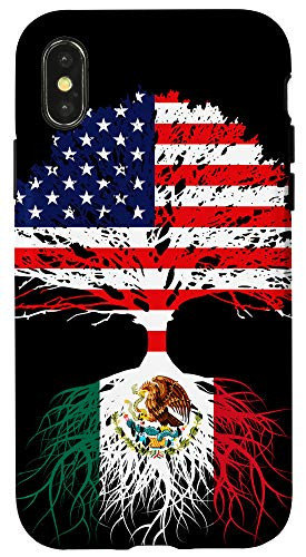 iPhone X XS Mexican American Mexico Born Family Roots US Flag Gift Case