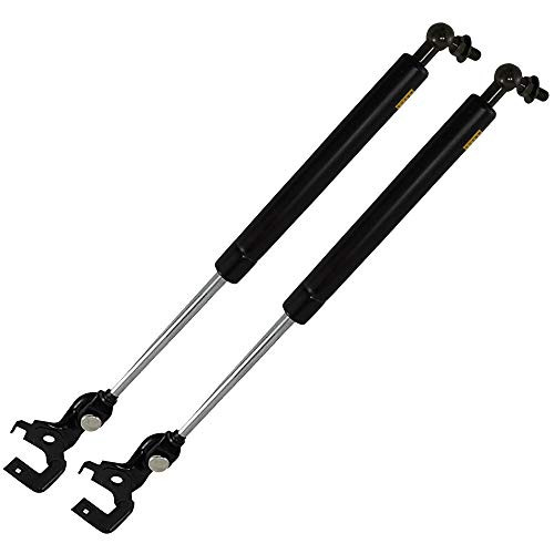 QUALINSIST Lift Struts 4217L 4217L-R 4217R PM3007 Fit for 1996-1992 L-exus ES300 1996-1991 T-oyota Camry Hood Lift Supports