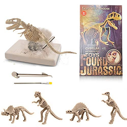 BUDDY N BUDDIES Dinosaur Fossil Excavation Kits  Children_s Popular Science Education Toys-Tyrannosaurus-