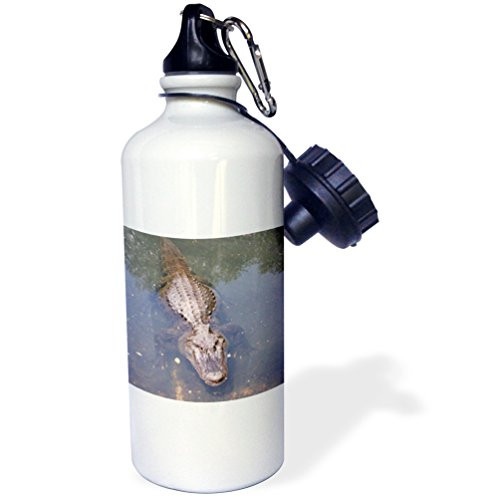 3dRose wb_4331_1 Alligator Sports Water Bottle, 21 oz, White