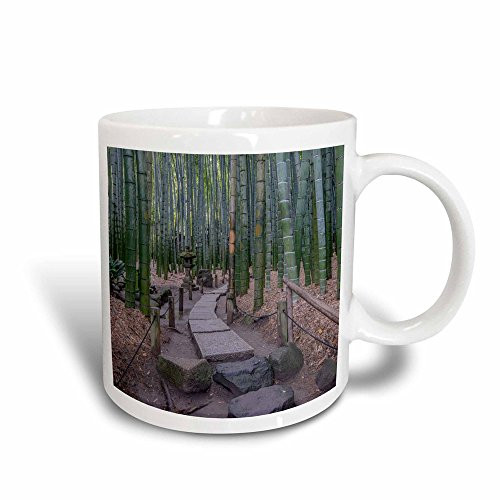 3dRose"Hungary, Budapest, Chain Bridge At Dawn" Mug, 11 oz