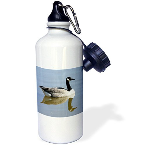 3dRose wb_23921_1 Canadian Goose Sports Water Bottle, 21 oz, White