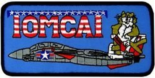 U.S. Navy F-14 Tomcat Patch