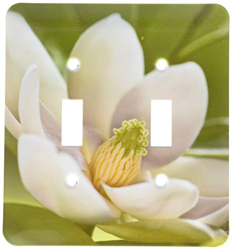 3dRose lsp_83298_2 Magnolia Tree Flower Blossom - Na01 Aje0189 - Adam Jones - Double Toggle Switch