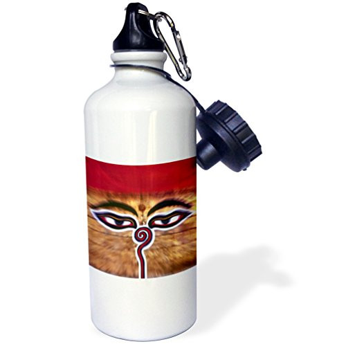 3dRose wb_75470_1 Nepal, Kathmandu Valley Swayambunath, Temple Ric Ergenbright Sports Water Bottle, 21 oz, White