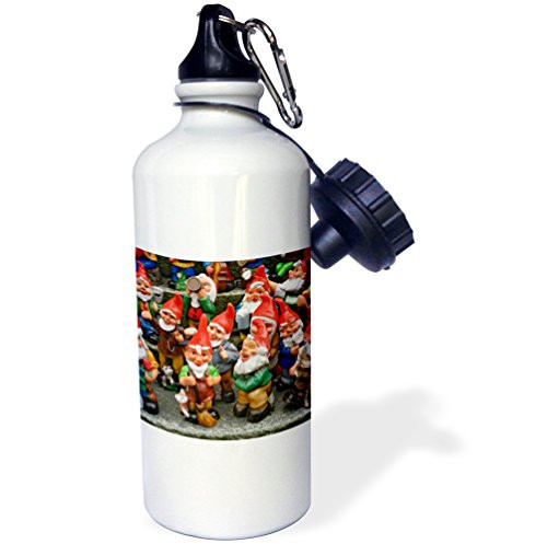 3dRose wb_82616_1 Gnomes Souvenir Shop, Appenzeller, Switzerland Adam Jones Sports Water Bottle, 21 oz, White