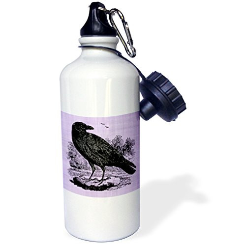 3dRose wb_223277_1"Black Raven Illustration on Purple Background" Sports Water Bottle, 21 oz, White 3dRose wb_223277_1"Black Raven Illustration on Purple Background" Sports Water Bottle, 21 oz, White