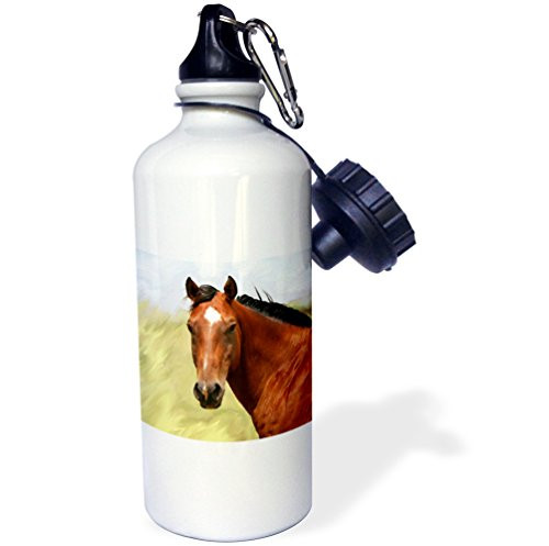 3dRose wb_4626_1 Bichon Frise Collage Sports Water Bottle, 21 oz, White