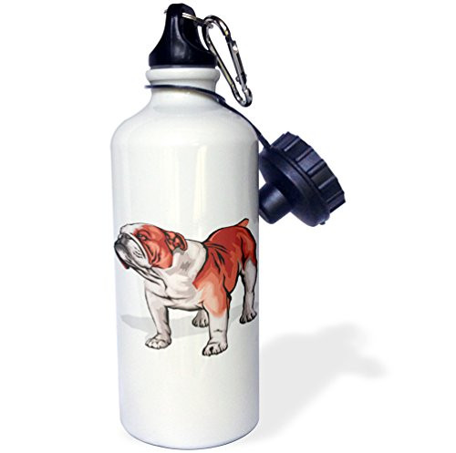 3dRose wb_128988_1 "Cute and Cuddly Canine English Bulldog" Sports Water Bottle, 21 oz, White 3dRose wb_128988_1 "Cute and Cuddly Canine English Bulldog" Sports Water Bottle, 21 oz, White