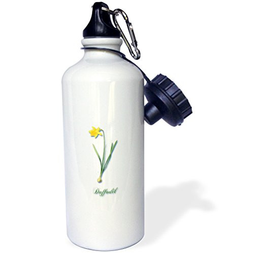 3dRose wb_171188_1 Daffodil, Botanical Print Bright Yellow Daffodil Early Spring Flower Sports Water Bottle, 21Oz, Multicolored
