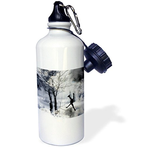 3dRose wb_80253_1 Clydesdale Mare and Foal Horses Sports Water Bottle, 21 oz, White
