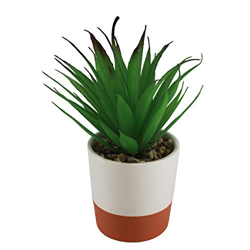 Connie N Randy Faux Succulent in Ceramic  and  Terra Cotta Pot 26220D