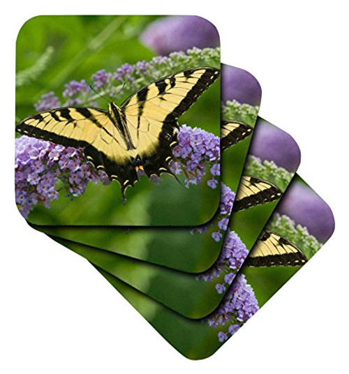 3dRose Eastern Tiger Swallowtail on Butterfly Bush, Marion, Illinois, USA. - Ceramic Tile Coasters, Set of 4 (CST_205868_3) 3dRose Eastern Tiger Swallowtail on Butterfly Bush, Marion, Illinois, USA. - Ceramic Tile Coasters, Set of 4 (CST_205868_3)