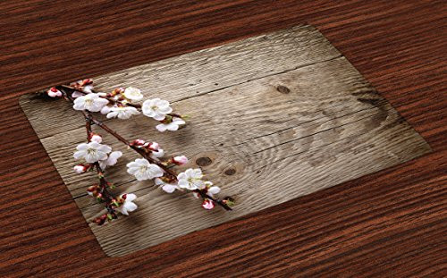 Lunarable Rustic Place Mats Set of 4, Romantic Springtime Cherry Blossom Branch over an Old Table Love Valentine's Day, Washable Fabric Placemats for Dining Room Kitchen Table Decoration, Brown White Lunarable Rustic Place Mats Set of 4, Romantic Springtime Cherry Blossom Branch over an Old Table Love Valentine's Day, Washable Fabric Placemats for Dining Room Kitchen Table Decoration, Brown White
