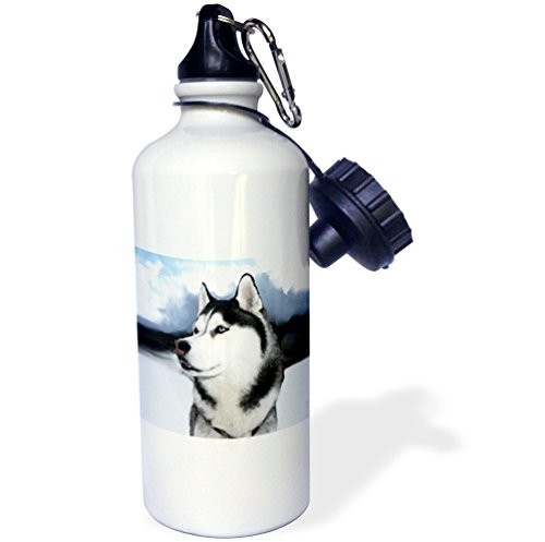 3dRose wb_4439_1 Siberian Husky Puppy Sports Water Bottle, 21 oz, White