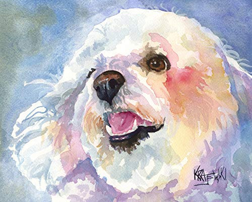 Bichon Frise Art Print - Bichon Frise Gifts - From Original Watercolor Painting by Ron Krajewski - Hand Signed in 8x10  and 11x14  Sizes