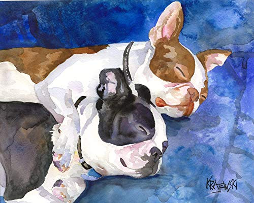 Boston Terrier Dog Art Print - Boston Terrier Gifts - From Original Painting by Ron Krajewski - 8x10inch  and 11x14inch  Sizes