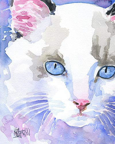 Ragdoll Cat Art Print - Ragdoll Cat Gifts - From Original Watercolor Painting by Ron Krajewski - Hand Signed in 8x10  and 11x14  Sizes