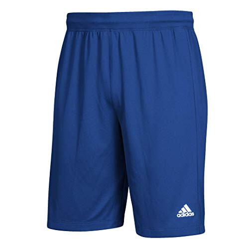 adidas Clima Tech Regular Fit Short -123S- S Collegiate Royal