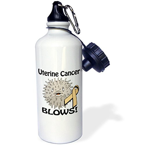 3dRose wb_115104_1"Uterine Cancer Blows Awareness Ribbon Cause Design" Sports Water Bottle, 21 oz, White