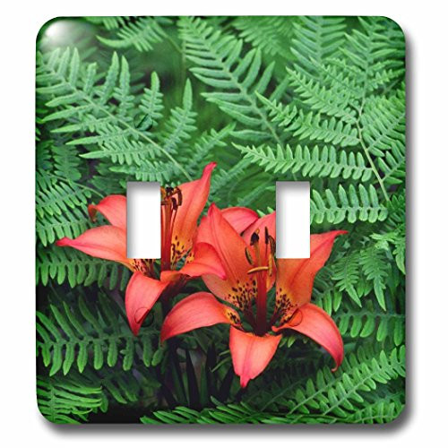3dRose LLC lsp_62036_2 Hibiscus N Ferns Double Toggle Switch